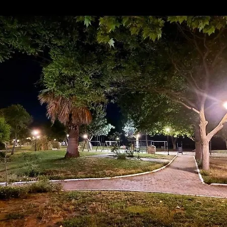 Olimp